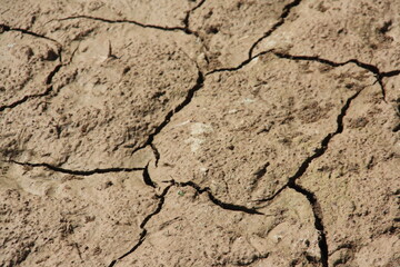 Suelo de pantano roto y agrietado por la sequía