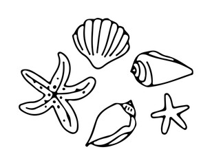 Set of sea shells on a white background.  Starfish, seashell, shell. Vector illustration in doodle outline style. Summer travel design elements.