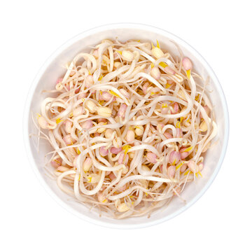 Mung bean sprouts in a white bowl. Vegetable, grown by sprouting mung beans, Vigna radiata, also known as green gram, maash, monggo or munggo. Isolated, from above, on white background, food photo.