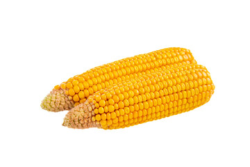corn isolated on white