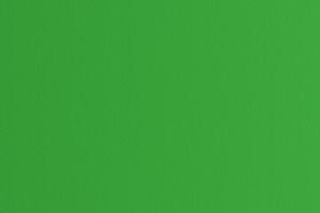 lime green color paper texture. Abstract rough flat background