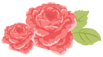 hand drawn rose flower element