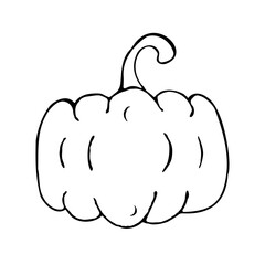 Pumpkin doodle isolated on white background. Vector hand drawn outline sketch. Food clipart for Halloween, Thanksgiving day, autumn design, menu, packaging
