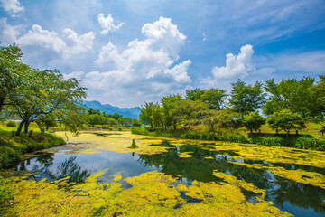 熊本県　南阿蘇村・明神池名水公園の風景

