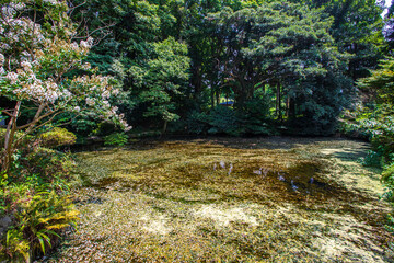 熊本県　南阿蘇村・明神池名水公園の風景
