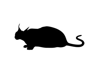 Caracal Cat Silhouette for Logo, Pictogram, Website or Graphic Design Element. Vector Illustration