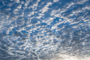 洞爺湖上の朝日を横から受けるうろこ雲