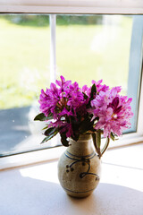 Pink Rhododendron in vase in cottage Ireland 