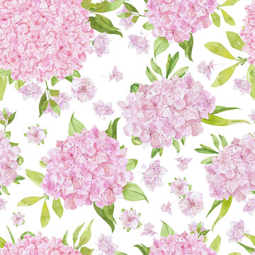 Seamless pattern with pink hydrangea and green leaf. Watercolor ornament