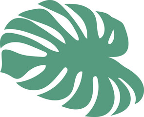 Monstera Leaf Plant Decorate Green