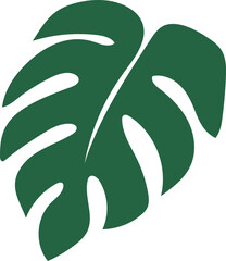 Monstera Leaf Plant Decorate Green