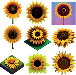 Sunflower set Low poly concept on white background 