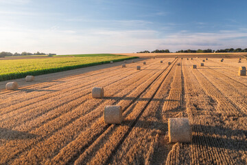 Wheat and corn fields at sunset after harvesting. Parallel lines and haystacks, image of...