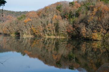 千丈寺湖（兵庫県）の夜明け