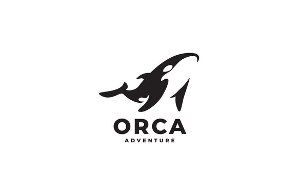 Orca Whale Sea Black and White logo. Orca illustration.