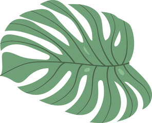 Fototapeta na wymiar Monstera Leaf Minimal Illustration Floral