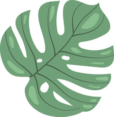 Monstera Leaf Minimal Illustration Floral