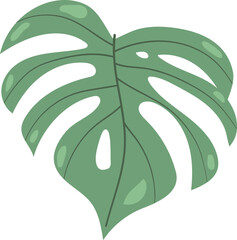 Monstera Leaf Minimal Illustration Floral
