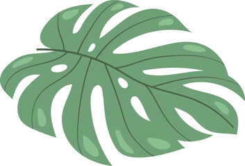 Monstera Leaf Minimal Illustration Floral