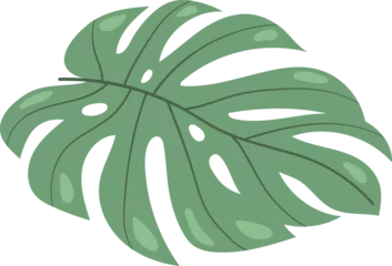 Photo sur Plexiglas Monstera Monstera Leaf Minimal Illustration Floral