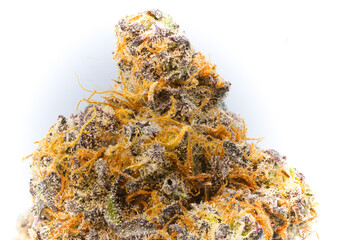Isolated cannabis flower bud super close up