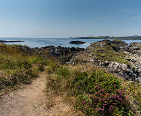 Fototapeta na wymiar hiking trail lined with colorful wildflowers leads to the rugged coast nad shoreline in County Cork in southwestern Ireland