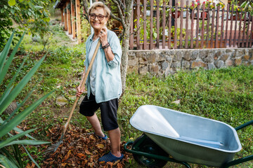 Beautiful happy senior woman tidying up fallen leaves using a rake and a cart in the yard of a...