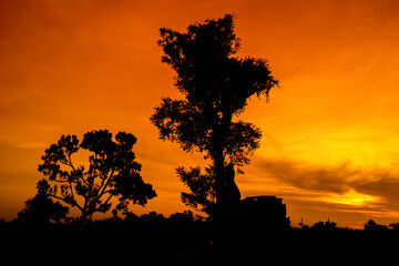 Natural panorama of beautiful orange sky at sunset and tree silhouette. beautiful nature evening sky background 