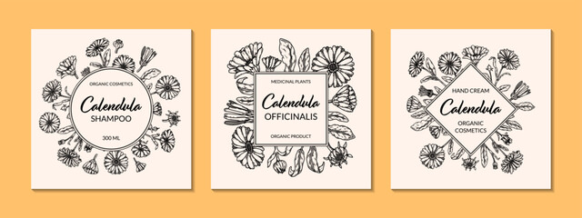 Set of calendula frames with hand drawn elements. Vector illustration in sketch style. Vintage packaging design - obrazy, fototapety, plakaty