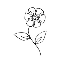 Flower line art illustration, outline decoration PNG