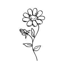 Flower line art illustration, outline decoration PNG