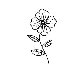 Flower line art illustration, outline decoration PNG