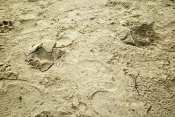 Closed up sand on the ground at the beach. Rough surface texture in nature.