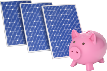 Solar panels with piggy bank
