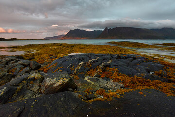 Landscape with sea and mountains, Lofoten Island, Norway