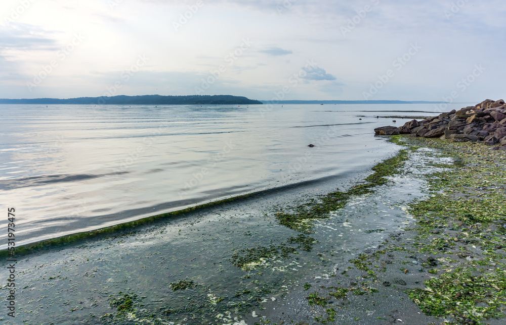 Wall mural Smooth Water Landscape 2