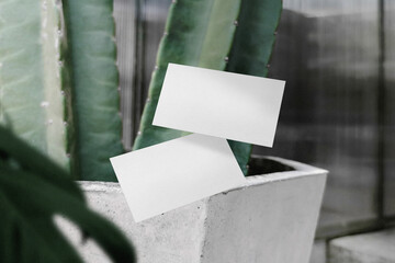 Clean minimal business card mockup floating on cactus with leaves