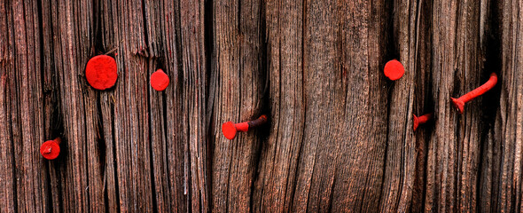 Old Weathered Barn Wall with Red Paint Windows and Nails