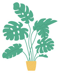 Potted monstera sketch. Indoor philodendron. Doodle color plant illustration
