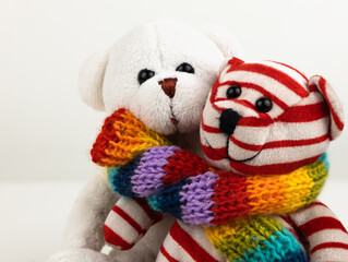 Two different teddy bear toys are wrapped in a rainbow-colored scarf. Concept National LGBT History Month