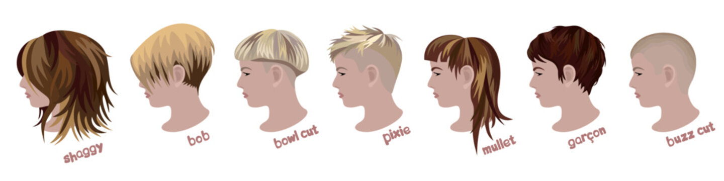 Woman's various hairstyles. Shaggy, bob, bowl cut, pixie, mullet, garcon, buzz cut. Vector collection isolated on white background.