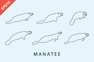 manatee vector design cartoon flat isolated illustration