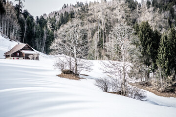 Fototapeta na wymiar Natur / Winter
