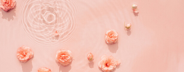 Pink roses, drops and waves on the surface of the water. Water abstract background
