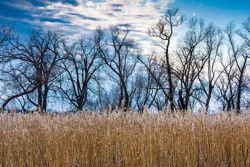 Fototapeta premium Capital Springs State Recreational Area