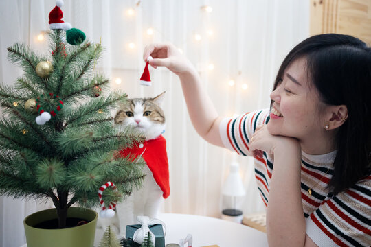 Asian Woman Decorate Christmas Tree And Dressing Her Cat With Christmas Theme