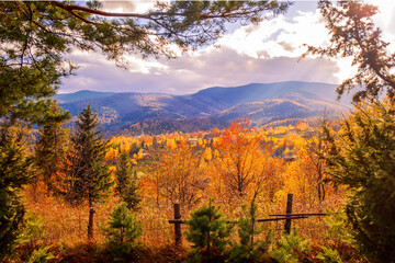 Fototapeta premium Autumn Mountains in Sunset in Ukraine. Autumn Landscape in Carpathian. Beautiful Orange Autumn Background.