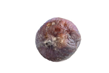 Moldy fig fruit isolated on white background