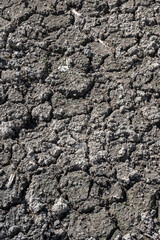 s&eacute;cheresse, le marais