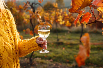 Woman vintner drinking white wine in her vineyard at fall season